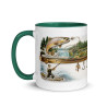 Mug with Color Inside