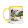 Mug with Color Inside